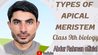 types of apical meristem what are the types of apical meristem in urduhindi class 9th biology [upl. by Corena]