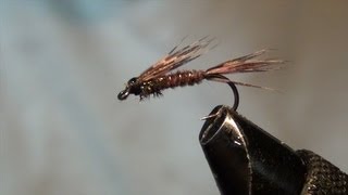 Fliegenbinden Pheasant tail Variante [upl. by Valeta]