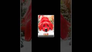 the big red dog full movie Explain in hindi urdu। reddog movie shorts [upl. by Einhorn737]