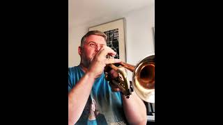 trumpet trumpetersstuff trumpeter music trumpetlovers trumpetlife shrekthemusical practice [upl. by Iffar]