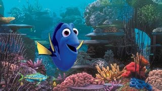 Procurando Dory  Trailer Oficial [upl. by Sherborn]