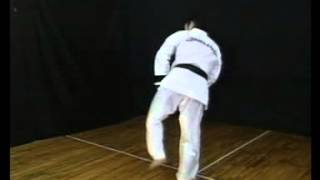 30  Ushiro Geri [upl. by Infield]