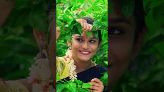 Kaalam Raasina Kathalu Movie  Kommallo Remmanu Song  Divya Aishwarya  YTShorts  Mango Music [upl. by Aleahcim]