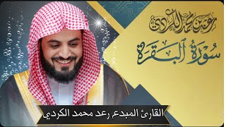 سورة البقرة كاملة بصوت القارئ رعد محمد الكردي  Full Surah AlBaqara by Raad Alkurdi [upl. by Oneill]