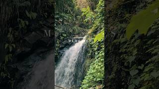 Unforgettable Moments from Grenada Annandale Waterfalls [upl. by Nitz]