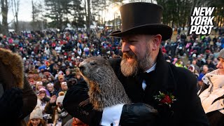 LIVE PA Groundhog Day  Punxsutawney Phil gives 2024 winter prediction  New York Post [upl. by Ehcram]