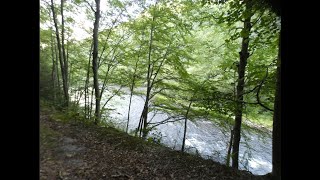 Lehigh Gorge park mile 120 8112024 just music [upl. by Werd195]