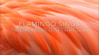 Flamingo SingsThe Earthworm Sally Theme Song [upl. by Ainat]