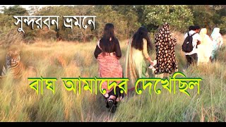 সুন্দরবন ভ্রমন ।। Sundarbans tour। MK TV BD [upl. by Onitnelav]