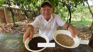 Black white green red pink and long pepper [upl. by Mendive]