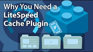 Why You Need a LiteSpeed Cache Plugin [upl. by Rollecnahc396]