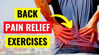 Back Pain Relief Exercises in 5 Min [upl. by Yzdnil]