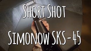 Short Shot Simonow SKS45 [upl. by Tnomyar581]