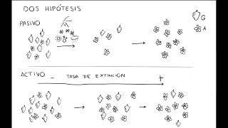 Gimnospermas vs angiospermas [upl. by Yoshi110]