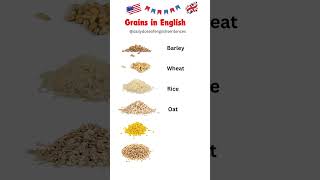 Understanding Grains A Comprehensive Guide to Staple Grains in English learnenglish englsih [upl. by Hartzel]