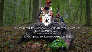 Drückjagd Reinhardswald  Die Jagd auf das einsame Deutsche Waldschwein [upl. by Tani22]