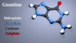 Bases Nitrogenadas DNA e RNA Animação 3D  Nextup Brasil [upl. by Septima]