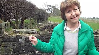 Tour guide Kathleen McNeice at the birthplace of Patrick Brontë County Down Northern Ireland [upl. by Laeno320]