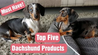 FIVE Things You Should Have Before Bringing Your DACHSHUND PUPPY Home [upl. by Almire980]