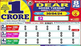 Dear Goose Tuesday Weekly Lottery 8PM 30042024 Dear Nagaland State Lotteries Live Draw Results [upl. by Liagaba]