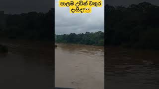 Kelani river water level nature flood omg [upl. by Cassella813]