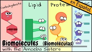 Biomoléculas [upl. by Ledda]