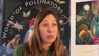 Bee Friendly The Importance of Pollinators [upl. by Maurise]