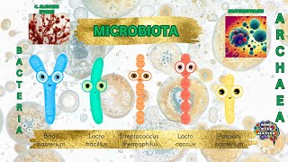 MICROBIOTA DEFINITION [upl. by Ayotnahs]