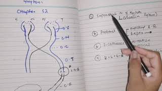 Visual pathway guyton 52 part 1 [upl. by Evie]