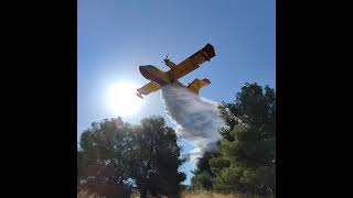 Canadair CL415  Croatian firefighters in action [upl. by Chara725]