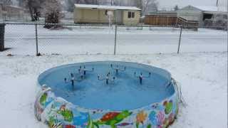 Testing my dancing water fountain while it was snowing during the day [upl. by Sang]