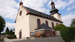 The Oldest vineyard in Germany The Niersteiner Glock [upl. by Rinaldo61]