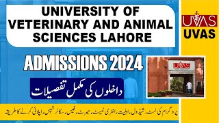 UVAS University Lahore Admission 2024  DVM PharmD  Schedule Eligibility Fee All Programs Merit [upl. by Cofsky]