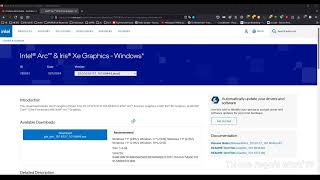 Windows1110IntelIntel® Arc™ amp Iris® Xe Graphics  Windows V32010161273201016044 [upl. by Desberg]