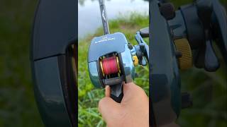 Classic reels TEAM DAIWAS 103 เอาใจคนชอบของแปลกซักหน่อยครับ shots fishing daiwareels [upl. by Evers]