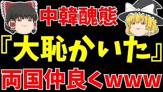 【サッカー】中国弱すぎて香港に歴史的敗北で韓国が大笑いも両者大恥www【ゆっくりサッカー日本代表解説】 [upl. by Arim]