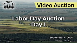 Superior Livestock AuctionLabor Day Auction Day 1 [upl. by Artiek36]