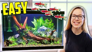 How to Set Up a 10 Gallon Planted Tank Aquascape Tutorial [upl. by Aiksas720]