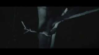 Black Crucifixion Millions of Twigs Guide Your Way Through the Forest official video [upl. by Faus]