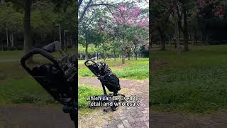 Does anyone know how to buy a golf cart with the most features for the cheapest price golfswing [upl. by Azil]