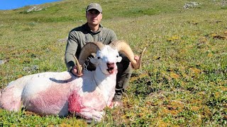 Double Header 40quot Dall Sheep 2022 [upl. by Nerraf713]