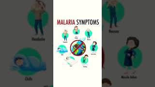 3rd year microbiology parasitology MALARIAmicroparasitologyMALARIAparasite [upl. by Hays]