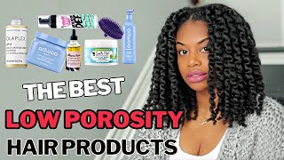 The Best Natural Hair Products for Low Porosity and High Porosity Hair [upl. by Ed]