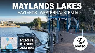 Maylands Lakes  Lake Bungana  Brickworks Perth Western Australia Short Walk [upl. by Helsie]