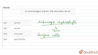 In submerged plants the stomata lie on [upl. by Eeliak743]