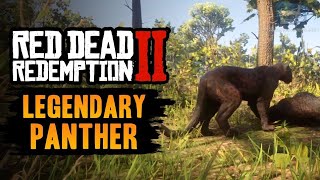 Hunting a legendary wild leopard  RDR2 chapter 3 part 9 [upl. by Kirbee]