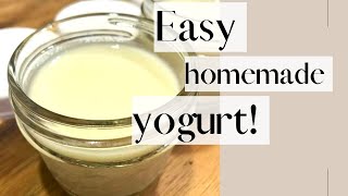 Easy Homemade Yogurt Recipe  With An Instant Pot  Gut Healthy Yogurt Made in Your own Kitchen [upl. by Nyraa]