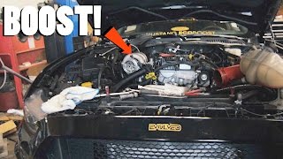 NASTY Big Turbo Mustang Ecoboost Build [upl. by Alena]