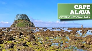 CAPE ALAVA Olympic National Park in Under 3 Minutes [upl. by Posner]