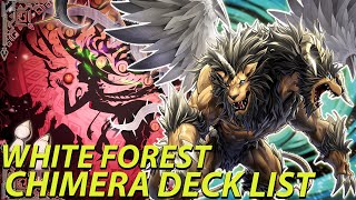 Stay Out of the Forbidden Forest  White Forest Chimera Deck List  Combos  Post Supreme Darkness [upl. by Siro]